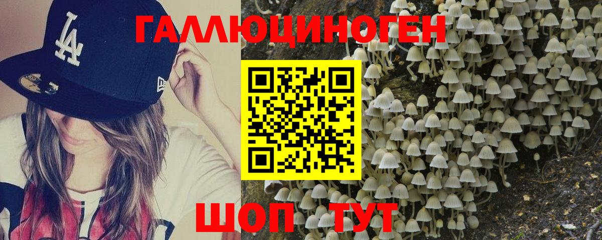 Псилоцибиновые грибы Cubensis Нягань